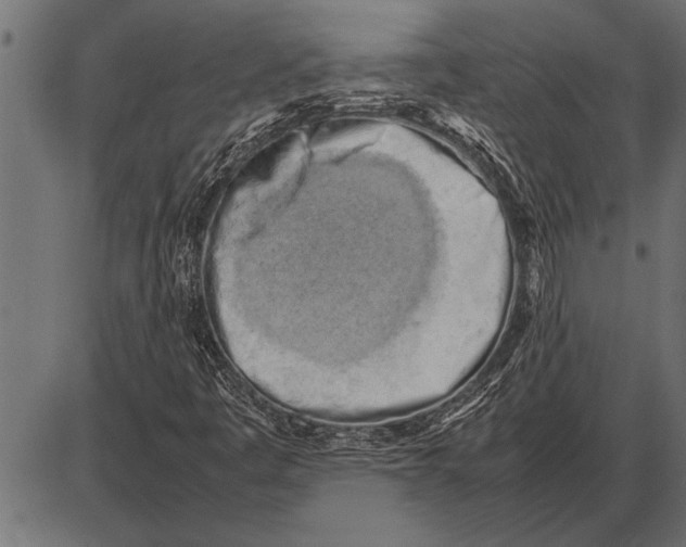 X0000085741445200704091457