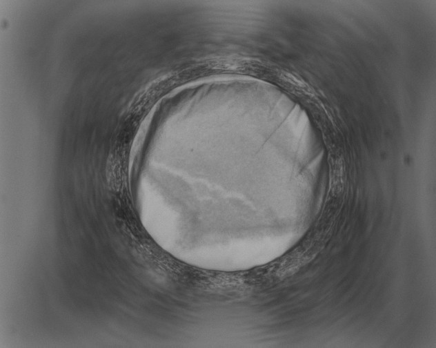 X0000085741446200704091457