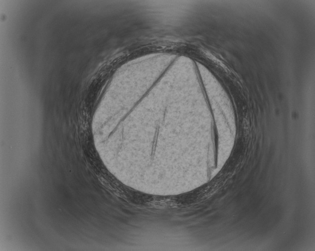 X0000085741447200704091457
