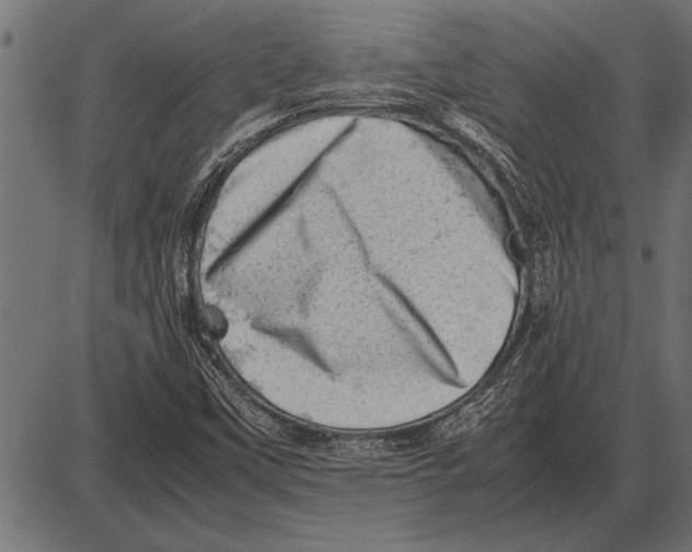 X0000085741451200704091457