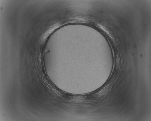 X0000085741455200704091457