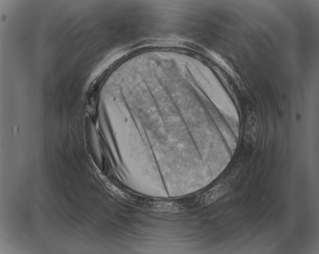 X0000085741456200704091457