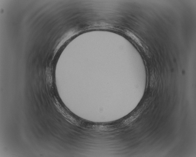 X0000085741458200704091457