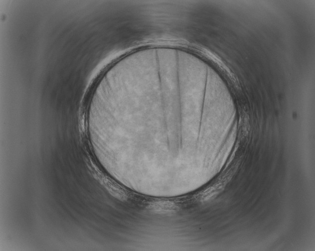 X0000085741462200704091457
