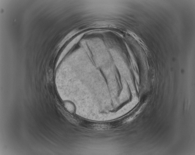 X0000085741465200704091457