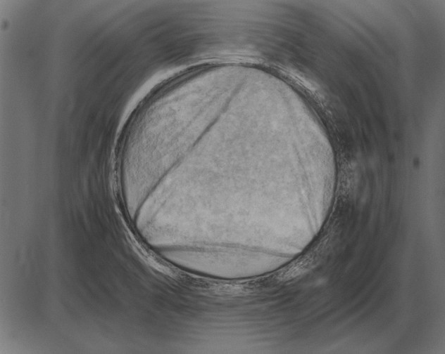 X0000085741470200704091457