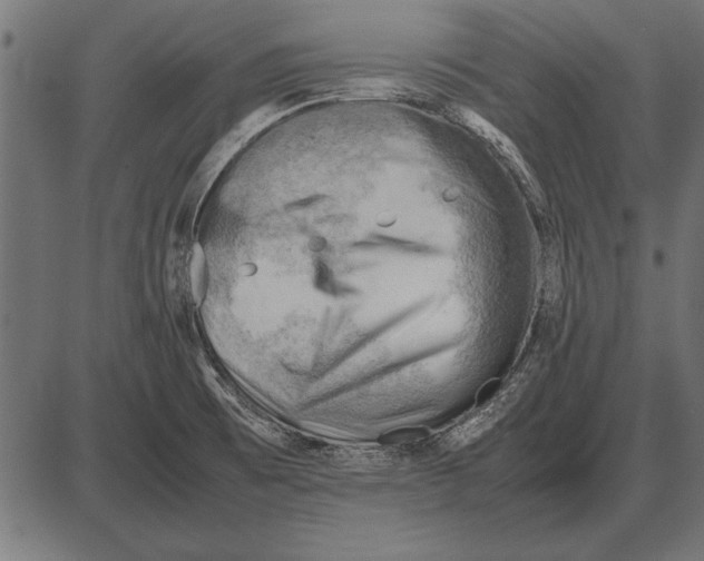 X0000085741473200704091457