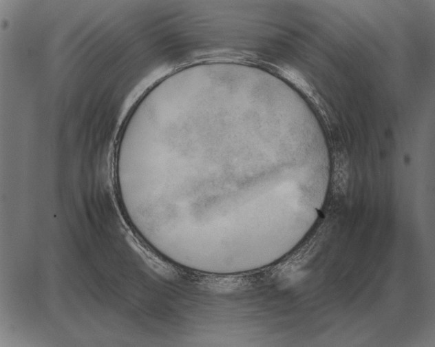 X0000085741474200704091457