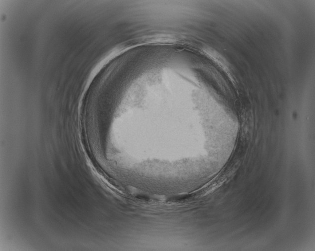 X0000085741475200704091457