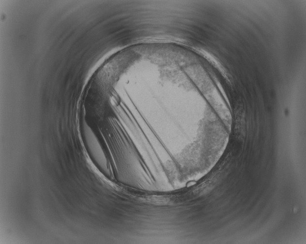 X0000085741476200704091457