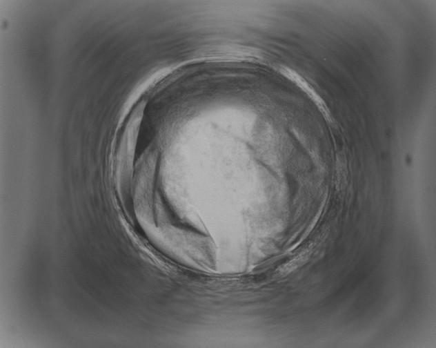 X0000085741477200704091457