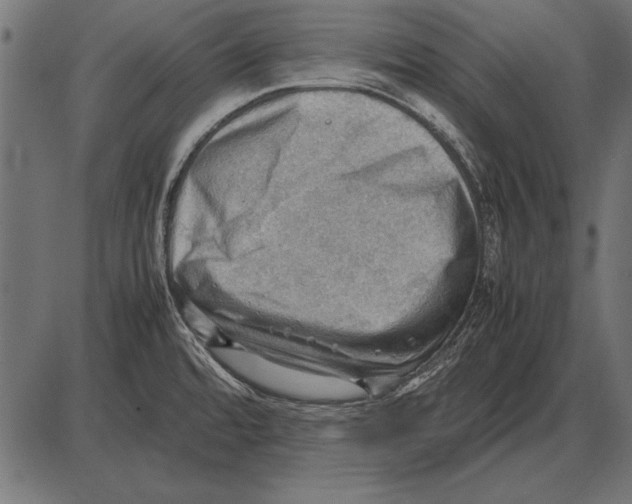 X0000085741480200704091457