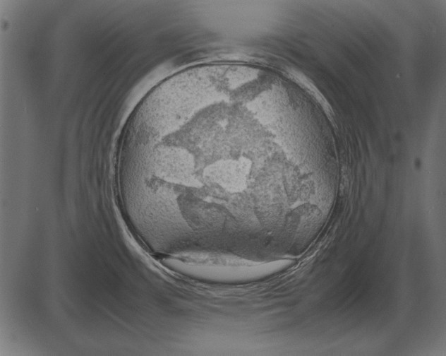 X0000085741483200704091457
