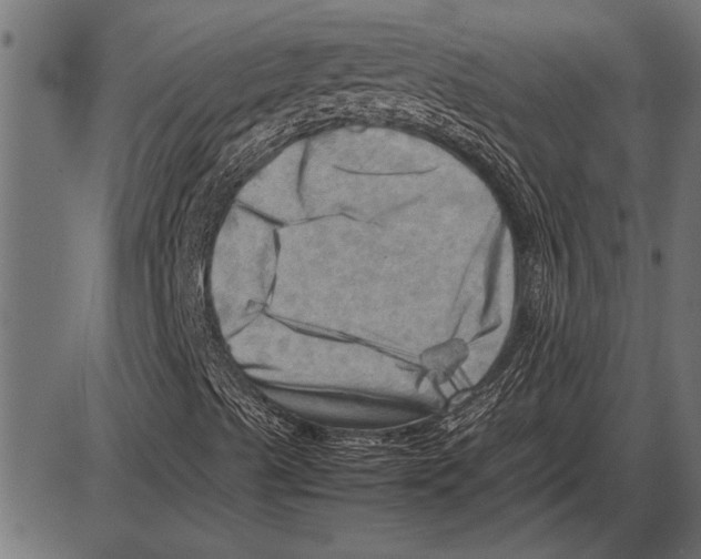 X0000085741489200704091456