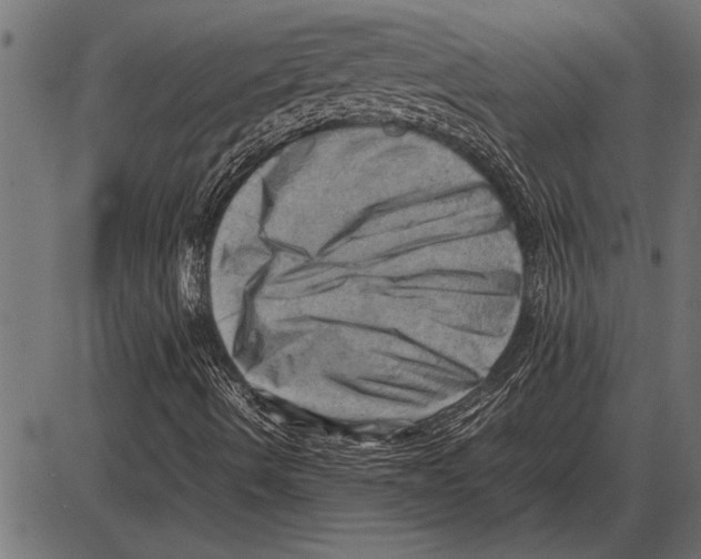 X0000085741490200704091456