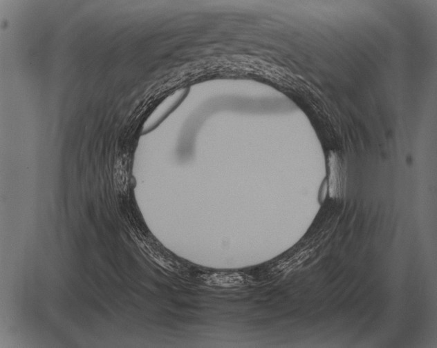 X0000085741491200704091456