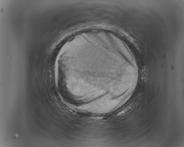 X0000085741496200704091456