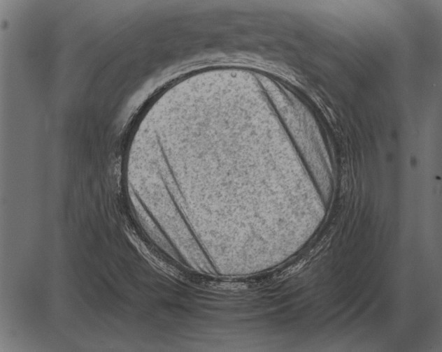 X0000085741503200704091456