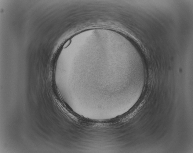 X0000085741506200704091456