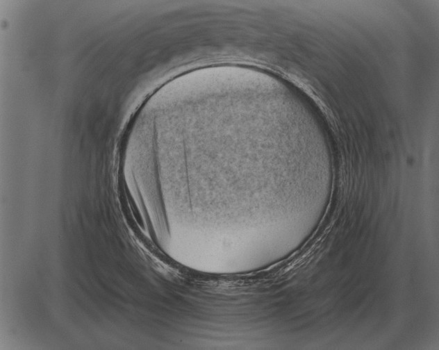 X0000085741508200704091456