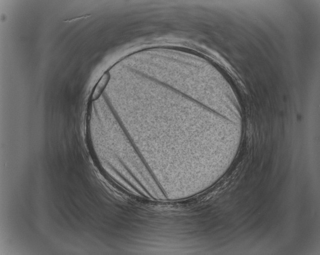 X0000085741512200704091456