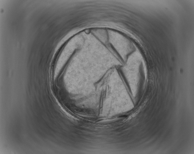 X0000085741517200704091456