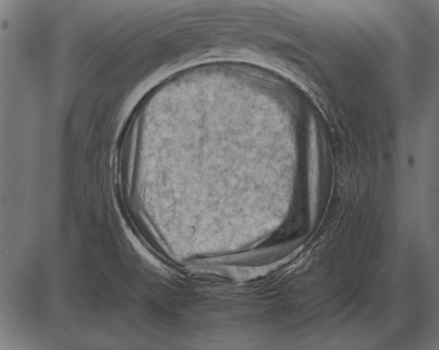 X0000085741519200704091456