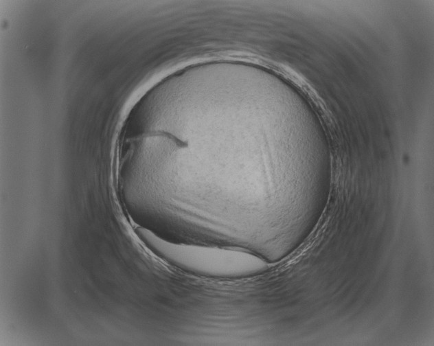 X0000085741520200704091456