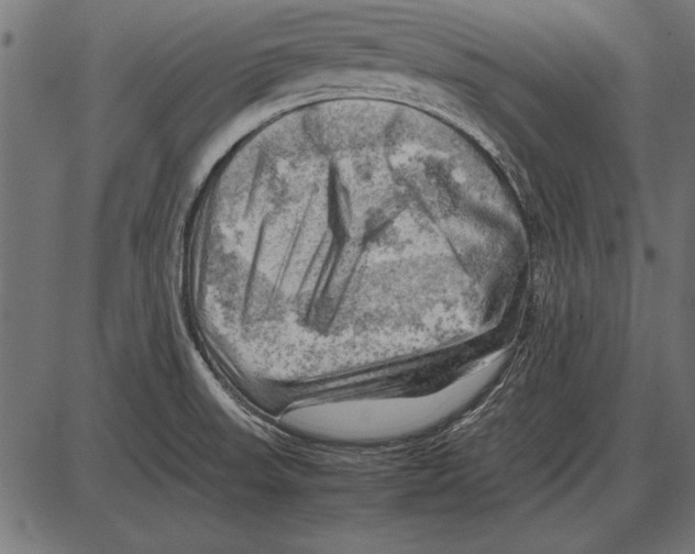 X0000085741523200704091457