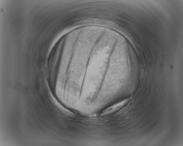 X0000085741531200704091457
