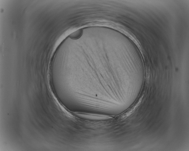 X0000085741533200704091457