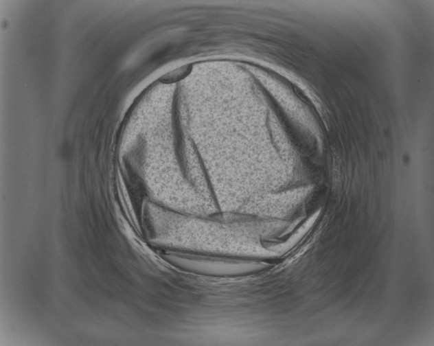 X0000085741534200704091457