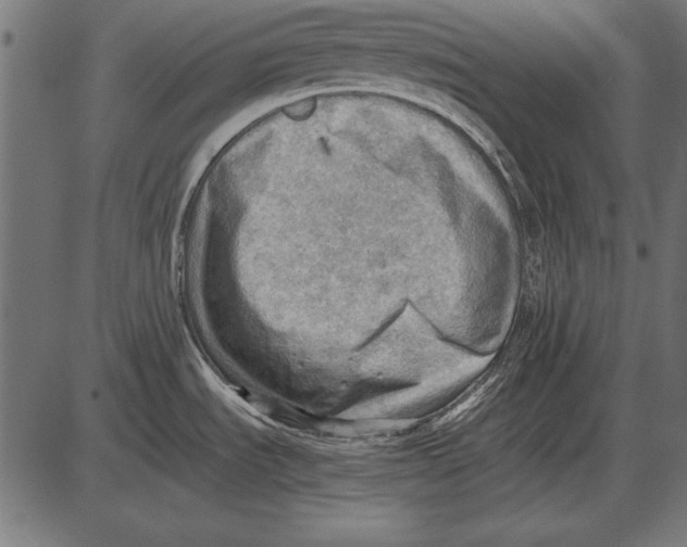 X0000085741535200704091457