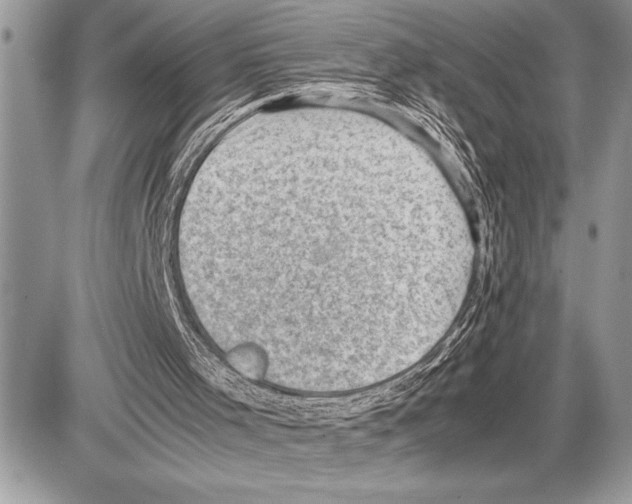 X0000085740001200704131657