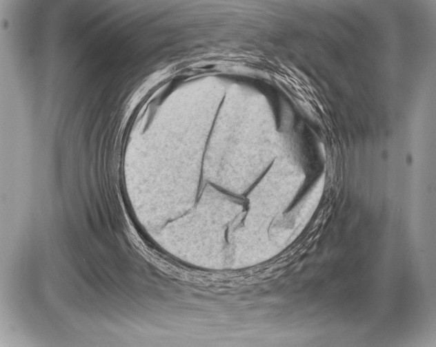 X0000085740003200704131657