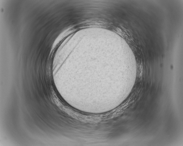 X0000085740004200704131657