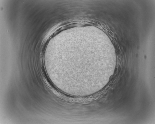 X0000085740005200704131657