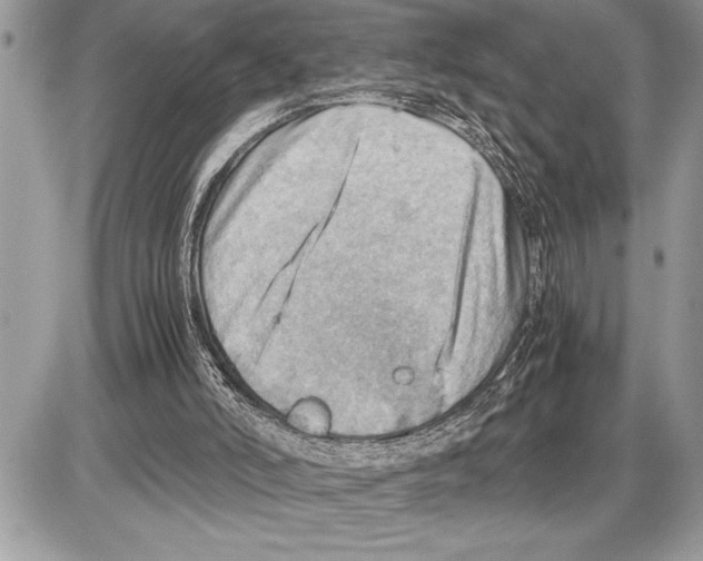 X0000085740006200704131657