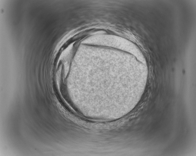 X0000085740007200704131657