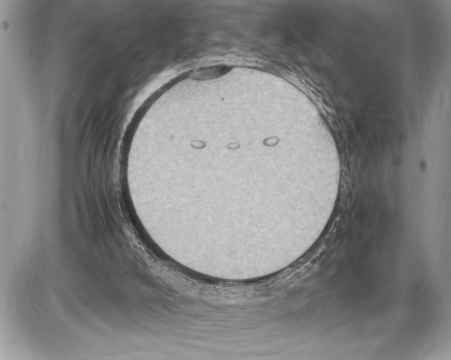X0000085740008200704131656