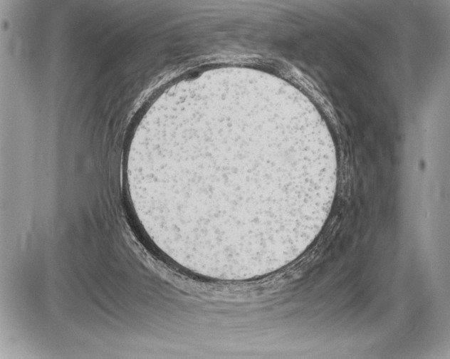 X0000085740011200704131656
