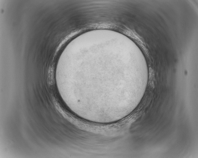 X0000085740012200704131656
