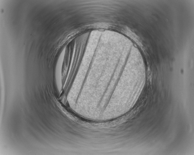 X0000085740013200704131656