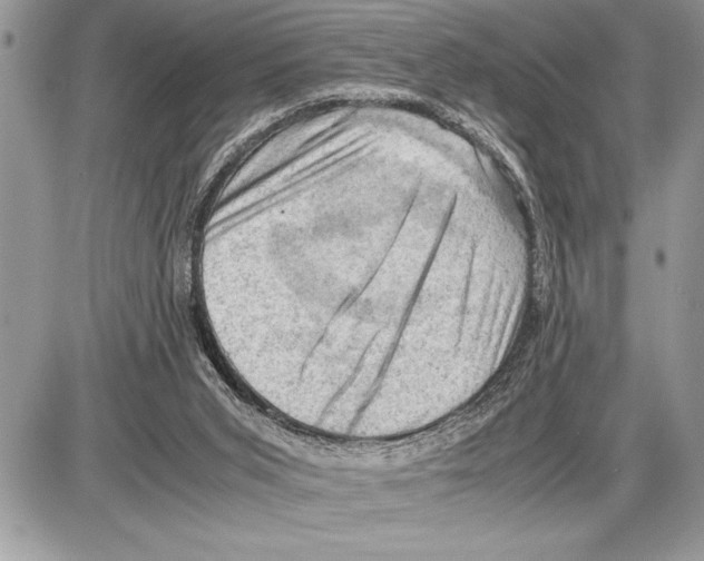 X0000085740015200704131656