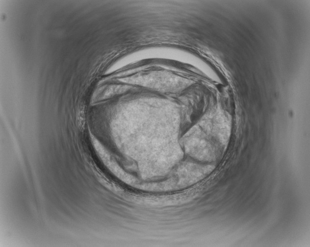 X0000085740017200704131656