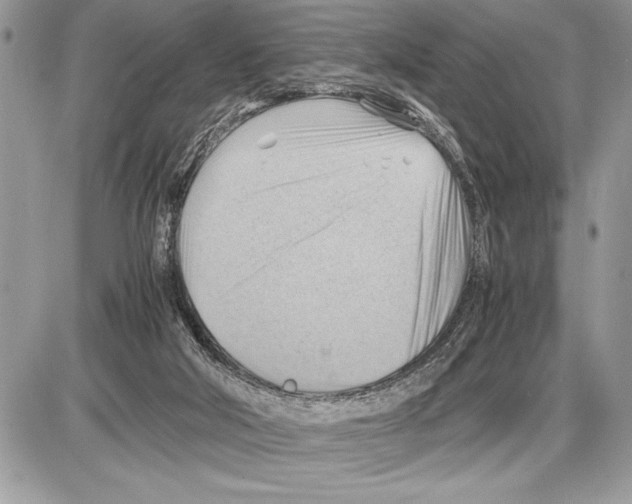 X0000085740018200704131656