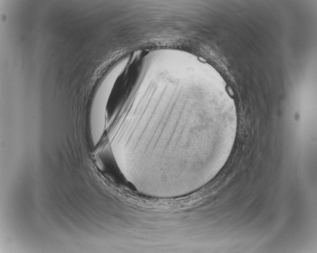 X0000085740019200704131656