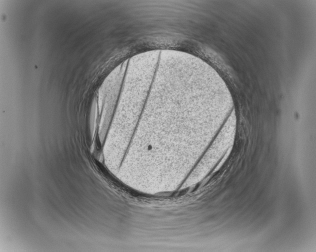 X0000085740021200704131656