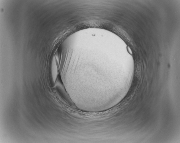 X0000085740023200704131656