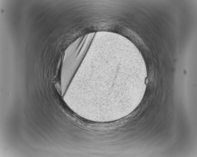 X0000085740025200704131656